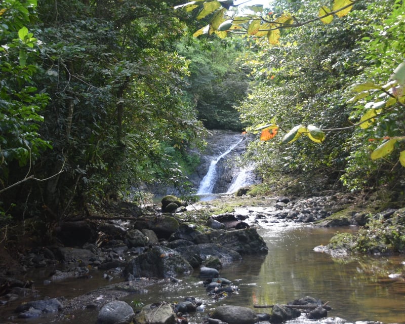 San Juan Waterfall Hike & Natural Pool Swim