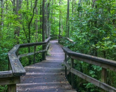 Explore Pocomoke City & Forest Night Ghost Walk