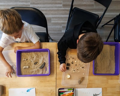Shark Fossil Workshop in Chatham