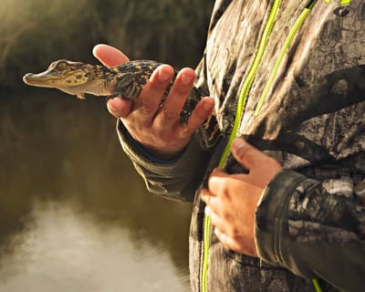 Explore a 16-Passenger Airboat Swamp Tour Near New Orleans