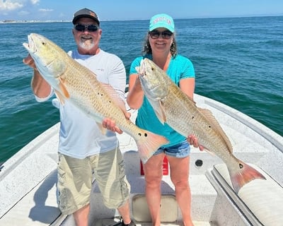 Gulf Coast Inshore and Nearshore Fishing Charter