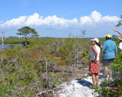 Naturalist-Guided Sand Hill Cruise & Hike in Naples