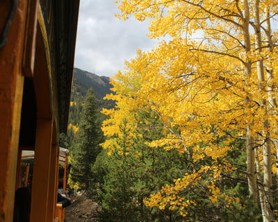 Georgetown Fall Colors Train Ride