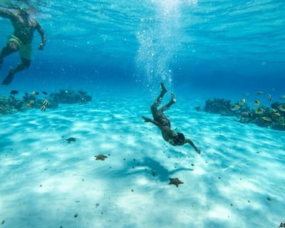 Cozumel 3-Hour Private Snorkeling Tour