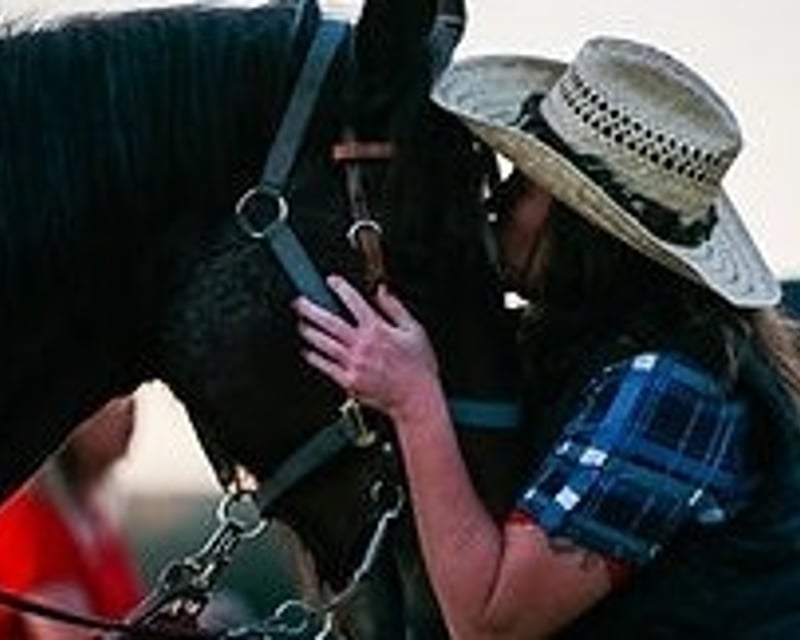Private 75-Minute Santa Ynez River Trail Ride