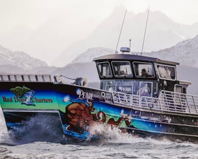 Homer 10-Hour Halibut Fishing Charter