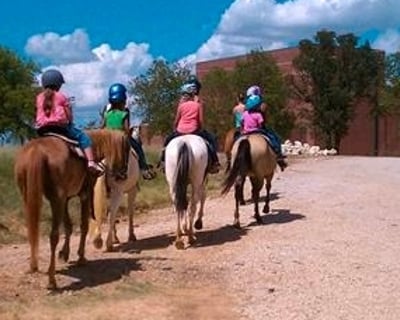 1-Hour Horseback Trail Ride in Corinth