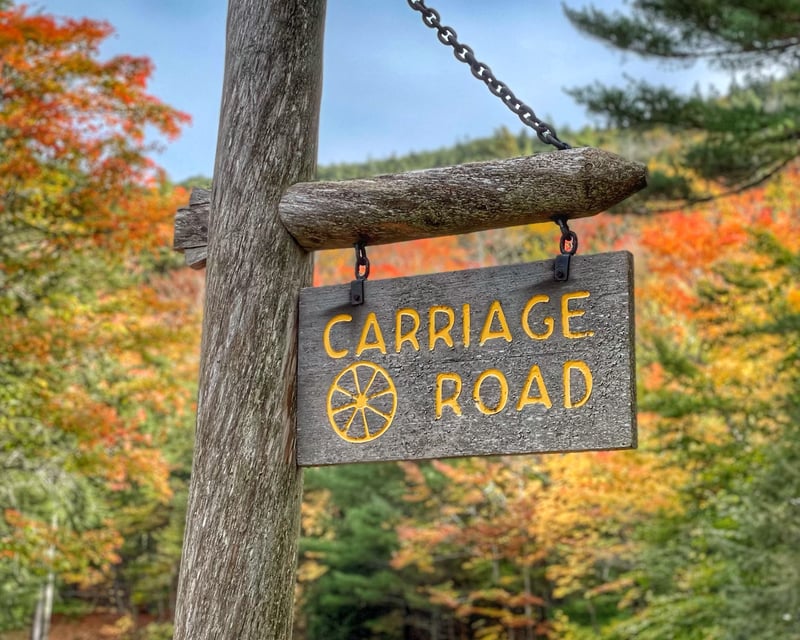7-Day Giant Mountain Bike Rental in Seal Harbor, Maine