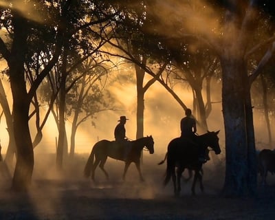 Sunset Horseback Ride in Sorrento