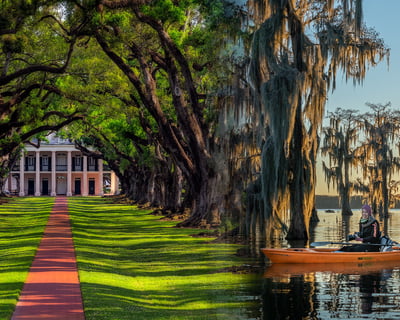 Bayous and Byways Half-Day Kayak and Plantation Tour