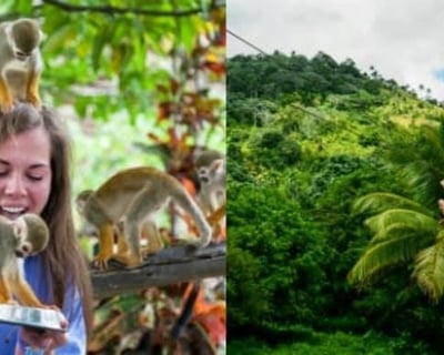 Zipline & Monkeyland Tour in Punta Cana