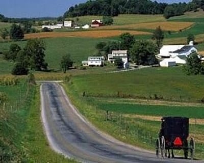 2-Hour Amish Backroads Tour in Holmes County
