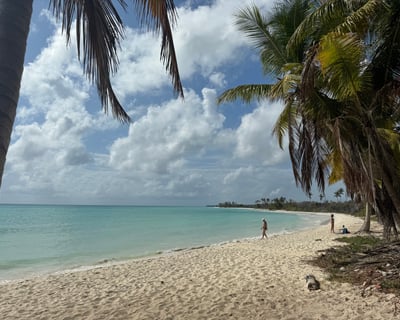 Private Snorkel Charter to Culebra