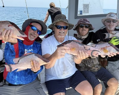 8-Hour Fishing Charter in Hernando Beach