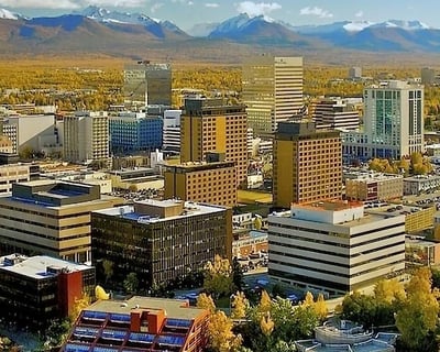 Anchorage City & Wildlife Guided Tour