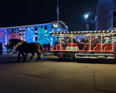 Caldwell Christmas Lights Carriage Tour