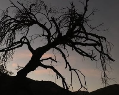 Ghost Hiking Tour of Black Star Canyon