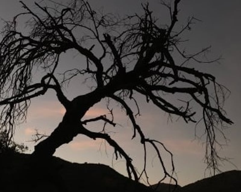 Ghost Hiking Tour of Black Star Canyon