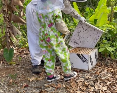 Agunda Guided Beekeeping Class