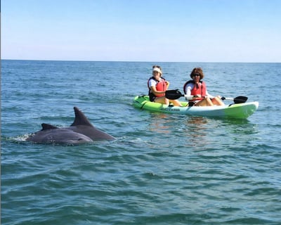 Siesta Key Double Kayak Rental