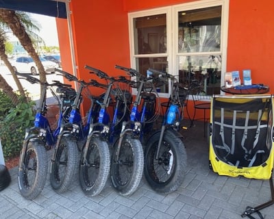 Fat-Tire E-Bike Rental in Treasure Island