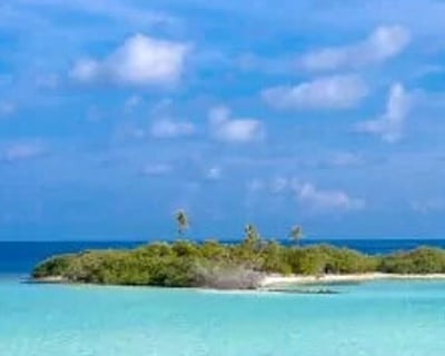 5-Hour Key West Sandbar & Snorkel Private Charter