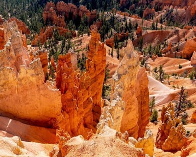 Bryce Canyon Full-Day Private Guided Hike