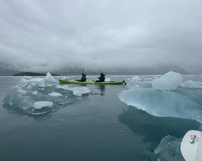 Full-Day Guided Kayaking Tour of Kenai Fjords