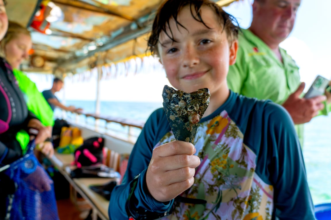 Fossil Dive & Shark Tooth Hunt in Nokomis FL