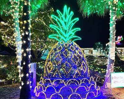 Charleston Holiday Festival of Lights Tour