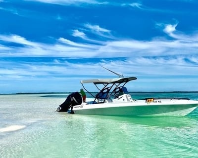 Private Sandbar Charter in Key West
