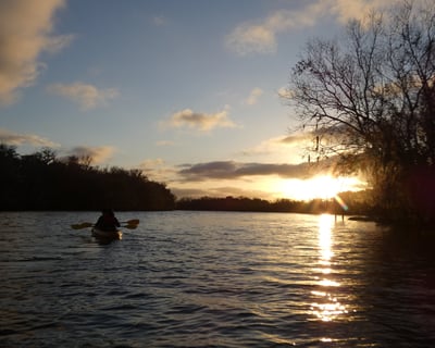 Sunset Paddle Among Manatees