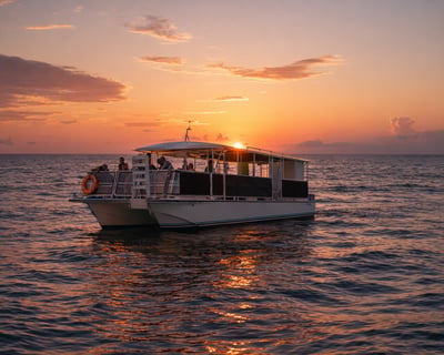 Sunset Dolphin Cruise in Panama City Beach