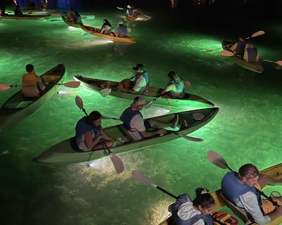 Sharkey's Glass Bottom Fish Feeding LED Night Tour in Clearwater Beach