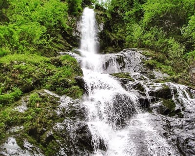 Bridal Veil Falls Guided Kayaking Tour From Seward