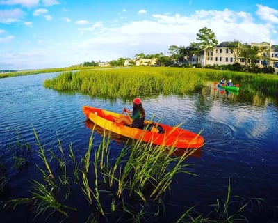 Hilton Head Dolphin Kayaking on Broad Creek