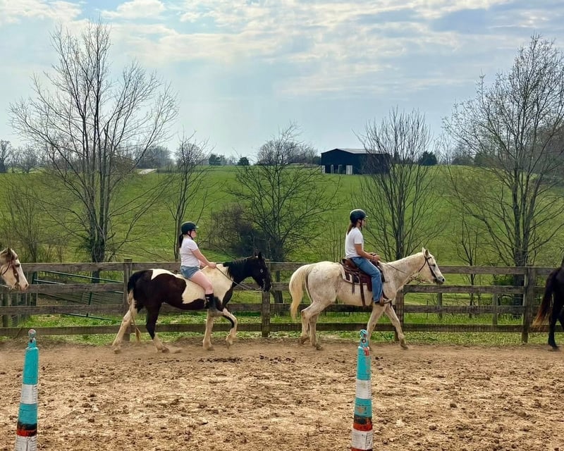 Semi-Private Western Riding Lesson in Fountain Run, KY