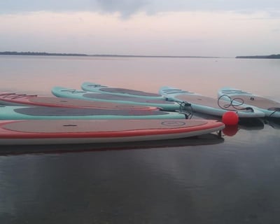 Multi-Day Paddle Board Rental in Cape Coral