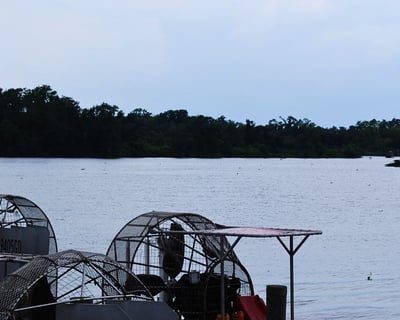 Explore a Guided Airboat Tour From New Orleans