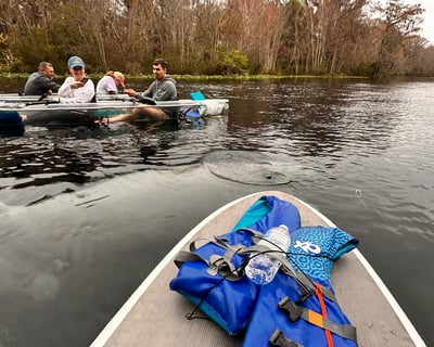 Silver Springs 4-Hour Guided Wildlife Kayak Tour