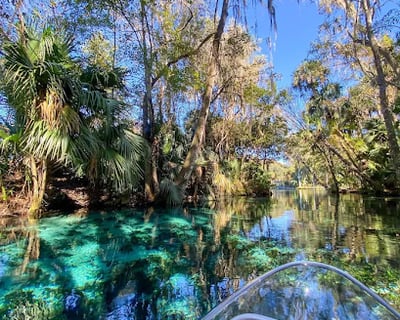 Clear Kayak Tour at Silver Springs State Park