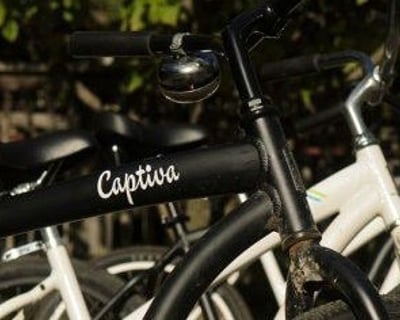 Beach Cruiser Bicycle Rental at Fletchers