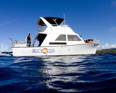 Afternoon Scuba Boat Dive in Koloa