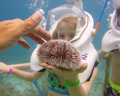 Guided Underwater Walk in St. Thomas