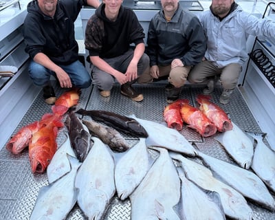 Homer Halibut & Rockfish Fishing Charter