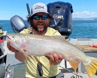 Fish for Trophy Trout on the Snake River in American Falls