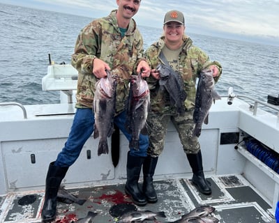Lingcod & Rockfish Guided Fishing Charter in Homer
