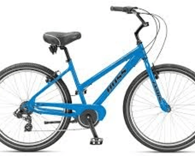 Marco Island 24" Jamis Cruiser Bike Rental