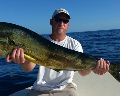 4-Hour Offshore Fishing Charter From Sebastian Inlet