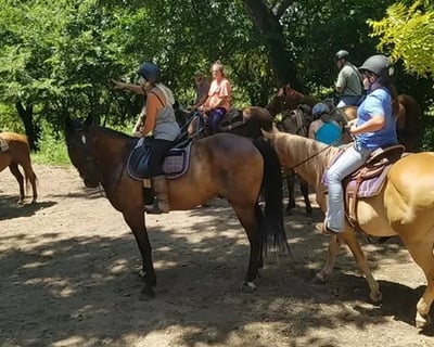 Guided Trail Ride Along North Canadian River